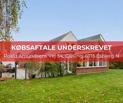 Opslagsbillede