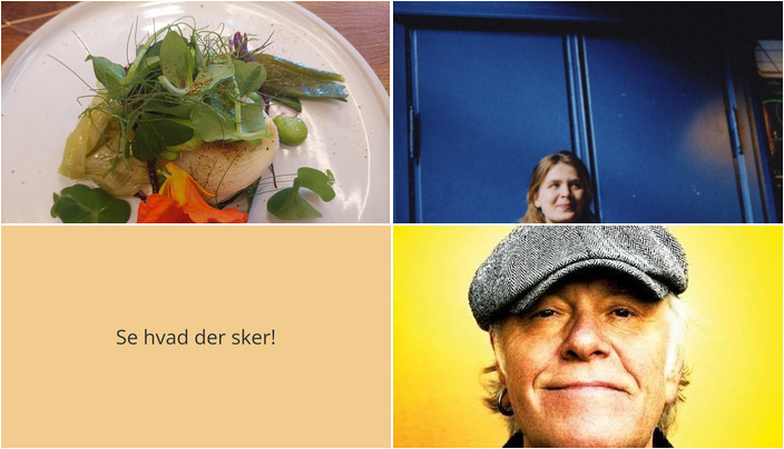 Aktiviteter i Nykøbing Sjælland denne weekend: Tangsafari, Veronika Rud-koncert og Kim Larsen hyldest