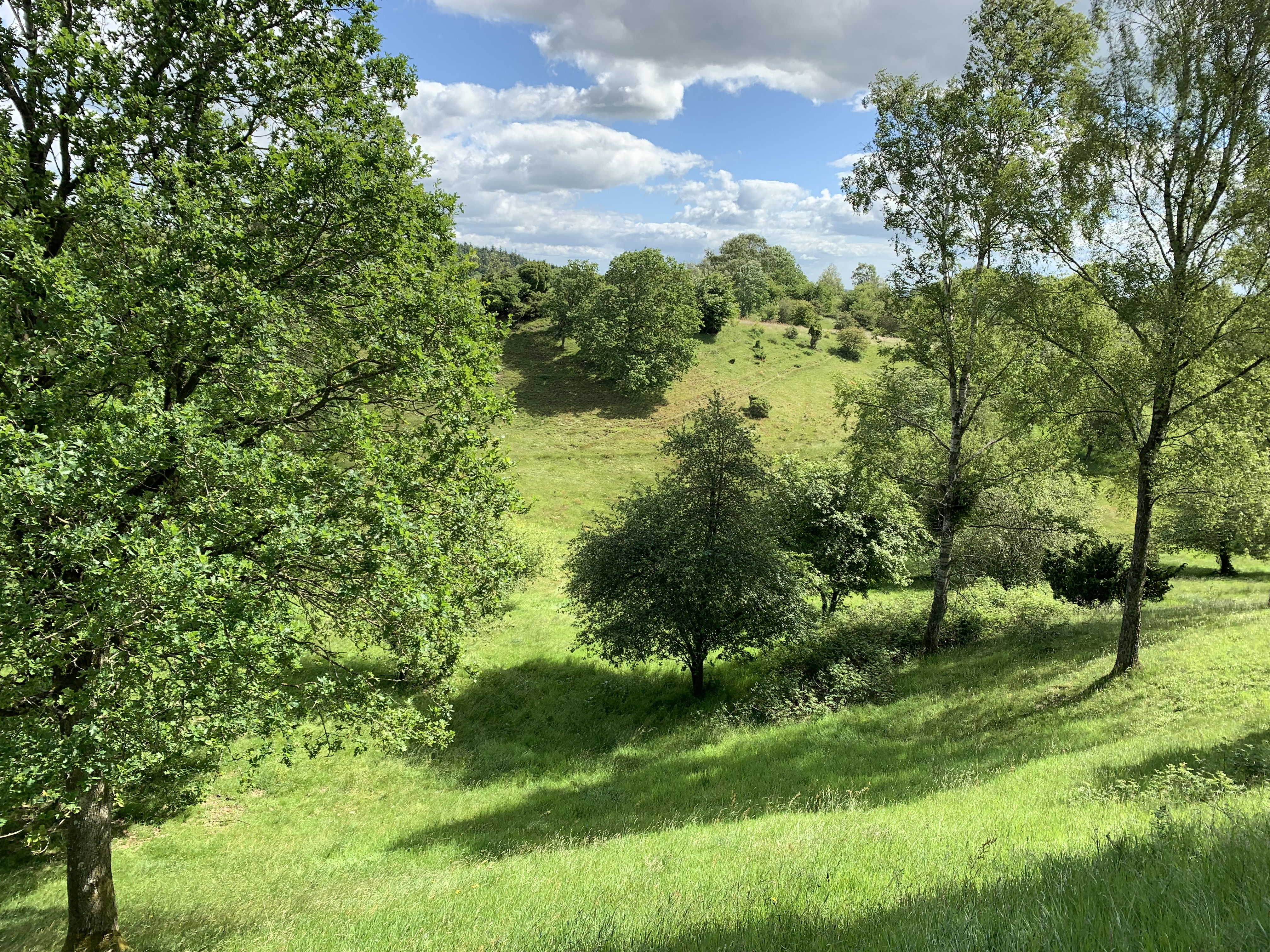 Randers Kommune foretager tilsyn af naturområder