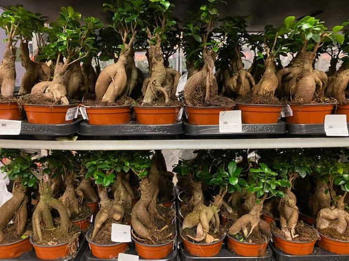 Det nyeste på Odders opslagstavle