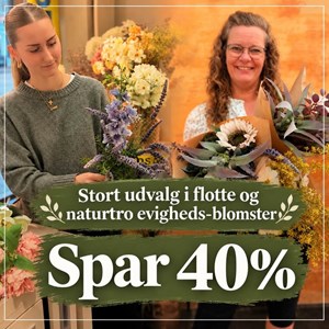 Opslagsbillede