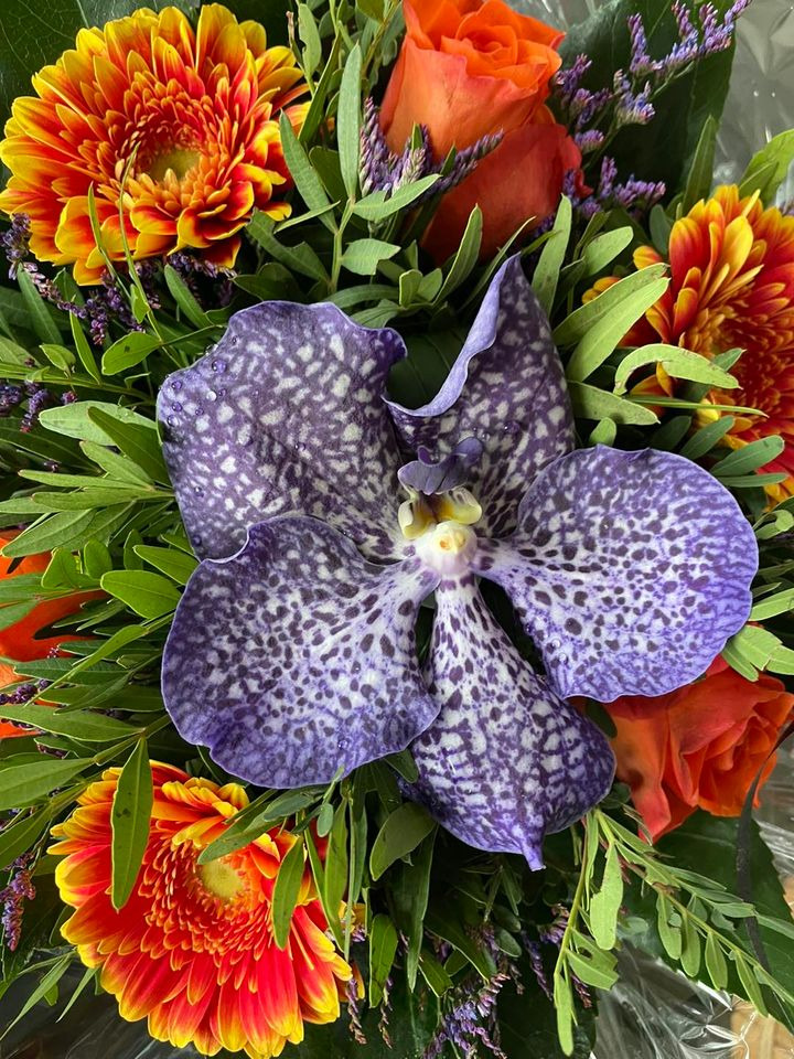 Opdatér dig her: Det nyeste fra Roslev