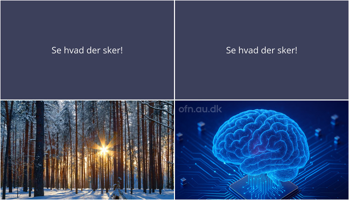 Uge med Nordiske Fortællinger og Kunstig Intelligens i Aalestrup