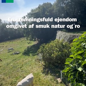 Opslagsbillede