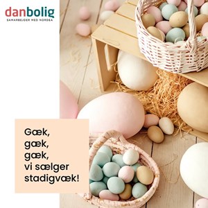Opslagsbillede