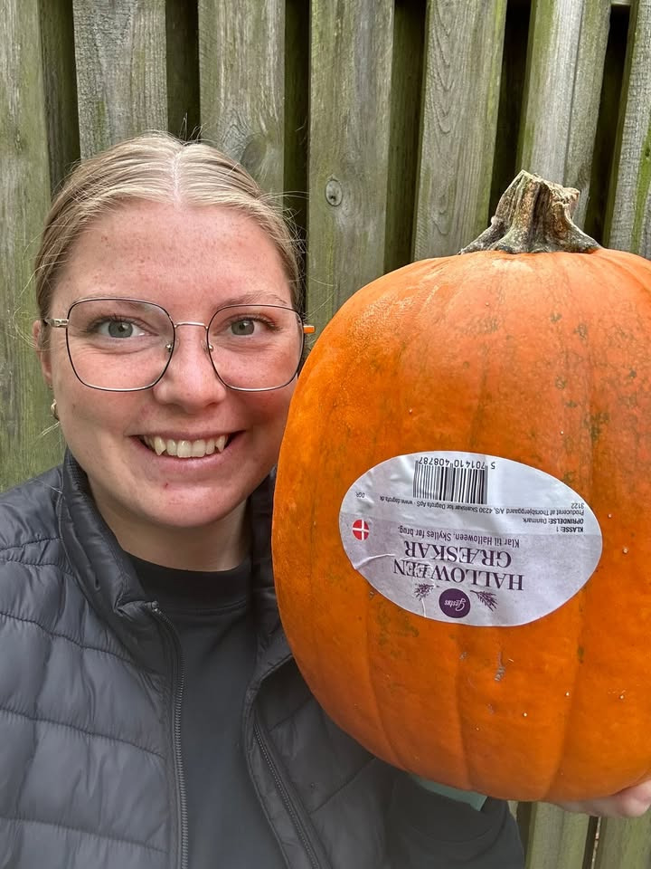 Min Købmand i Asp tilbyder store græskar til efterårsferien