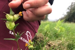 Skive Kommune opdaterer registreringen af beskyttede naturområder i 2025