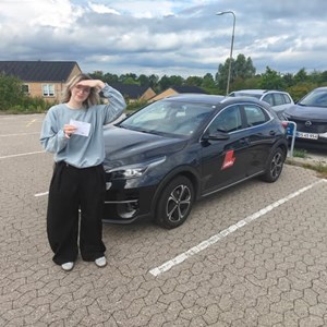 Opslagsbillede