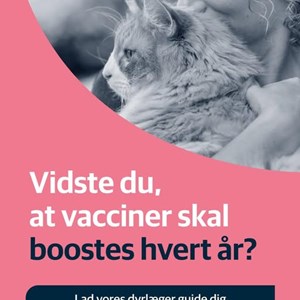 Opslagsbillede