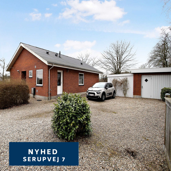 Opdatér dig her: Det nyeste fra Silkeborg