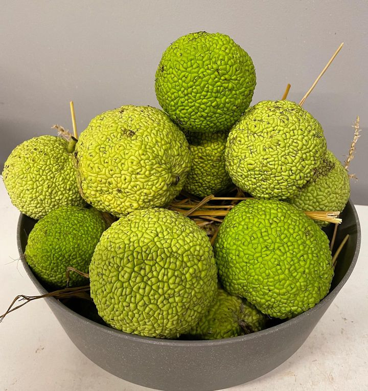 Opdatér dig her: Det nyeste fra Herning