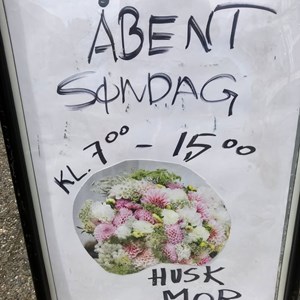 Opslagsbillede