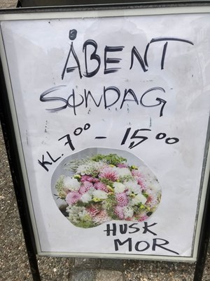 opslagsbillede