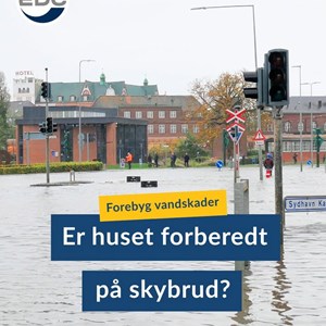 Opslagsbillede