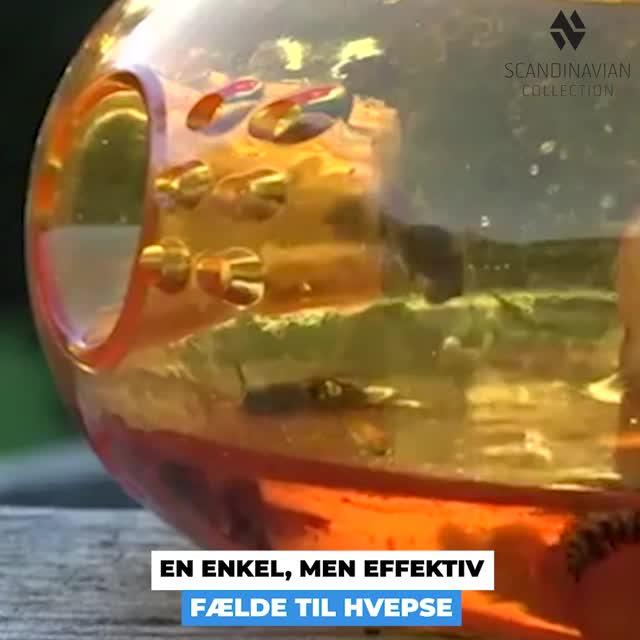 Det nyeste på Odders opslagstavle