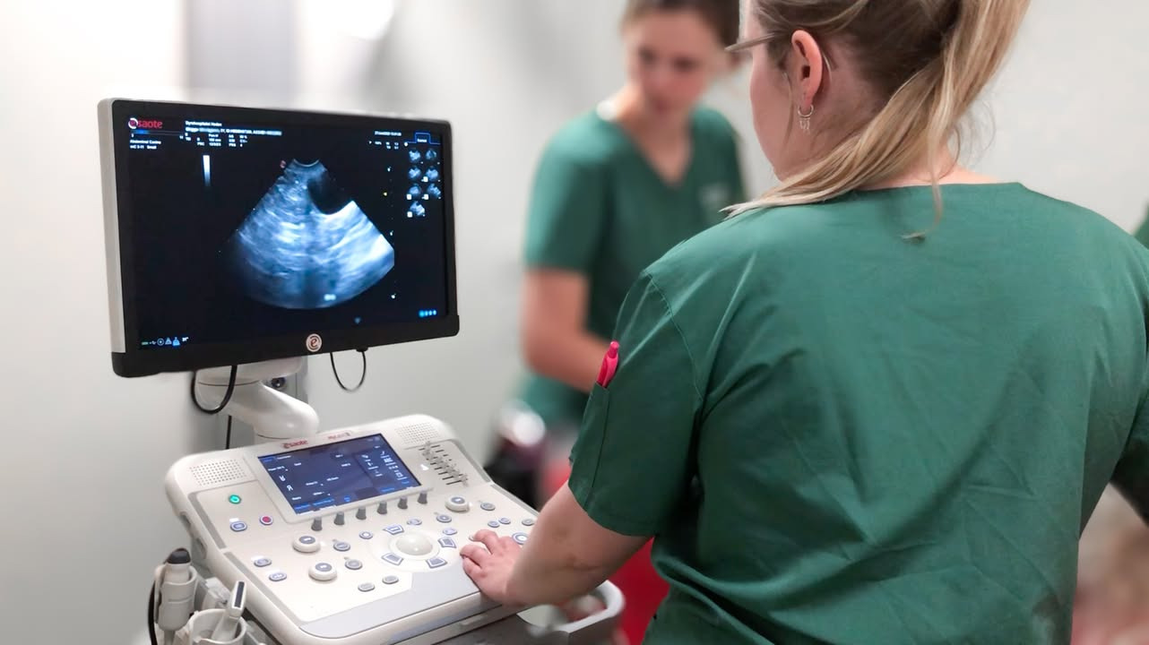 Dyrehospitalet Heden ApS tilbyder avanceret ultralydsscanning for kæledyr