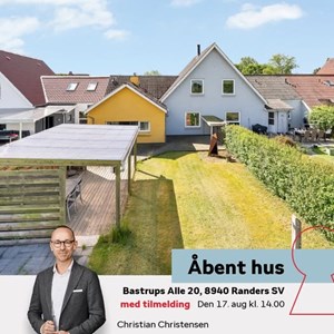 Opslagsbillede