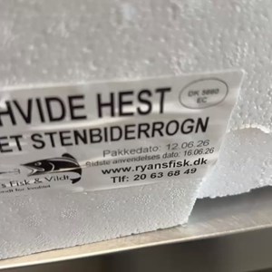 Opslagsbillede