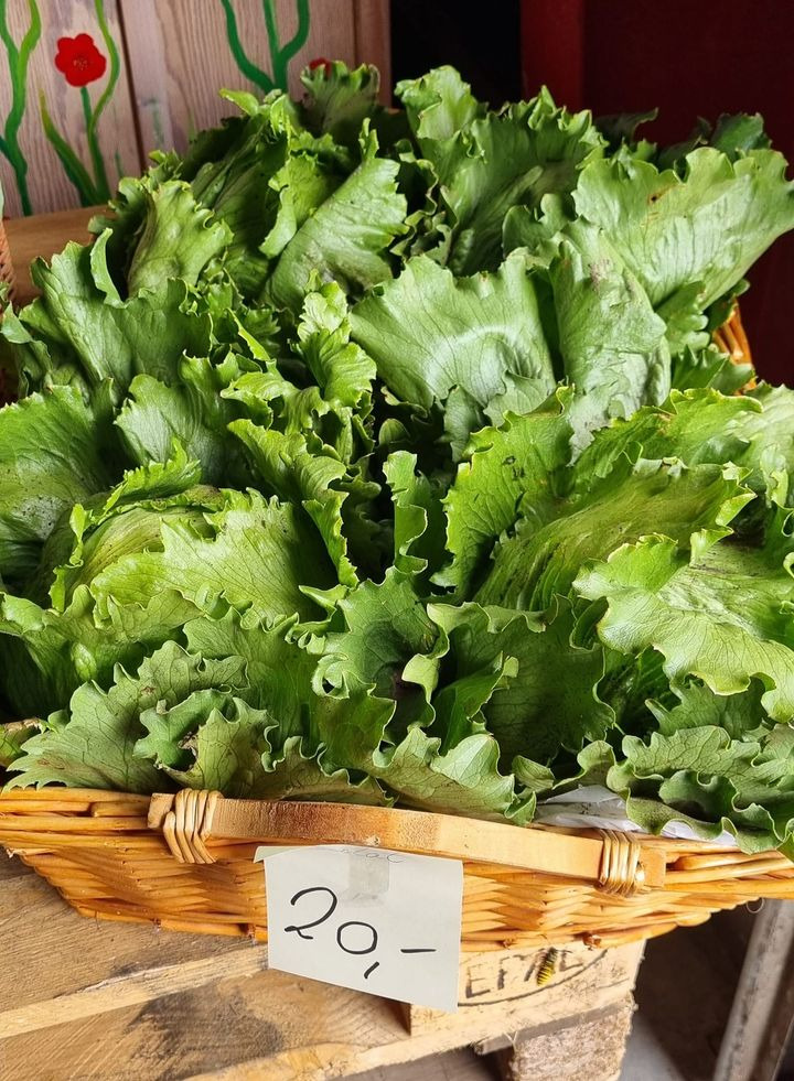 En finger på pulsen i Sæby