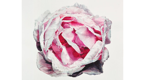 Oplev udstillingen "Tidløs" i Tobaksgaarden