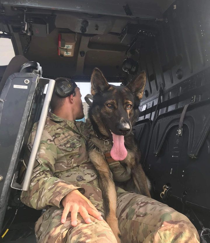 Opslagstavlen: Nyeste opdateringer fra Viborg