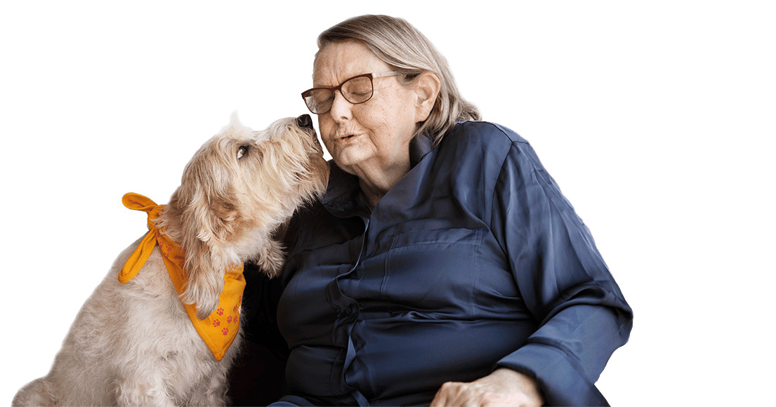 Vejlby Apotek deler om TrygFondens succes med besøgshunde i Danmark