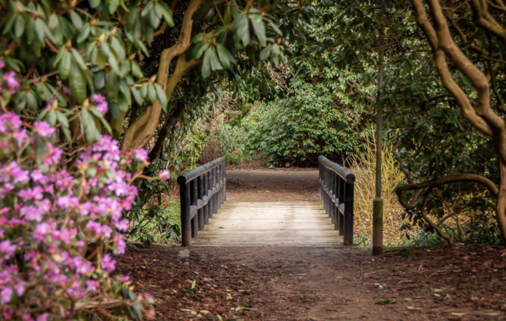 Nyt gåfællesskab for unge mellem 18 og 30 år