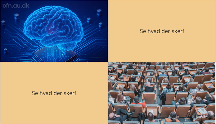 Inspiration og læring i Thorsø: Foredrag om kunstig intelligens og en personlig rejse fra Iran til Danmark