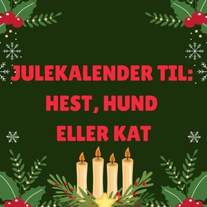 opslagsbillede