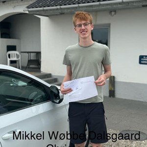 Opslagsbillede