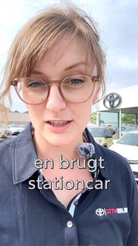 Opslagsbillede