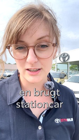 opslagsbillede