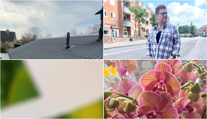 Nyt fra Flore Vida, Only Curves, Midtsjællands Autolakering ApS og 1 anden