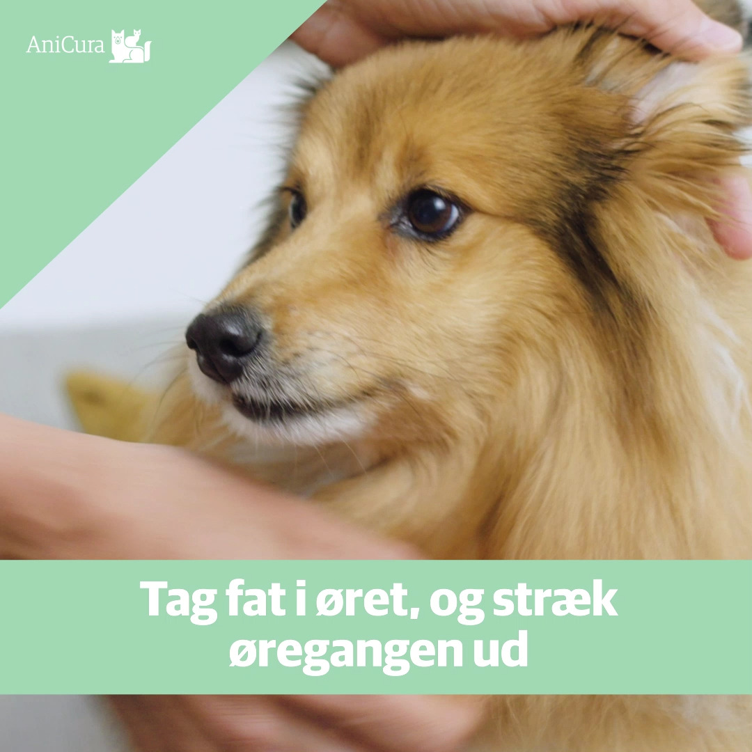 Hold dig ajour med dagens opdateringer fra Hjørring