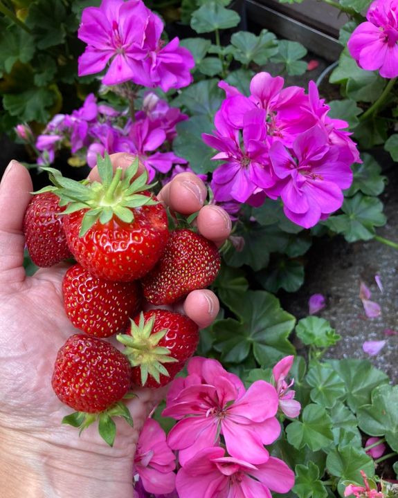 Det nyeste på Hobros opslagstavle