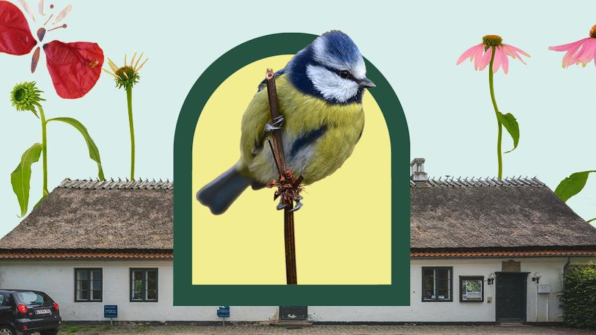 Kreative og naturskønne weekends i Rytterskolen