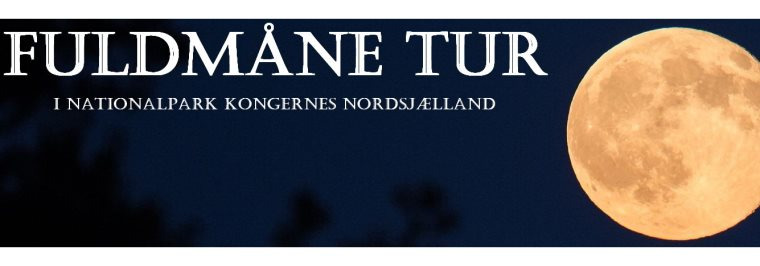 Oplev fuldmånetur i Nationalpark Kongernes Nordsjælland