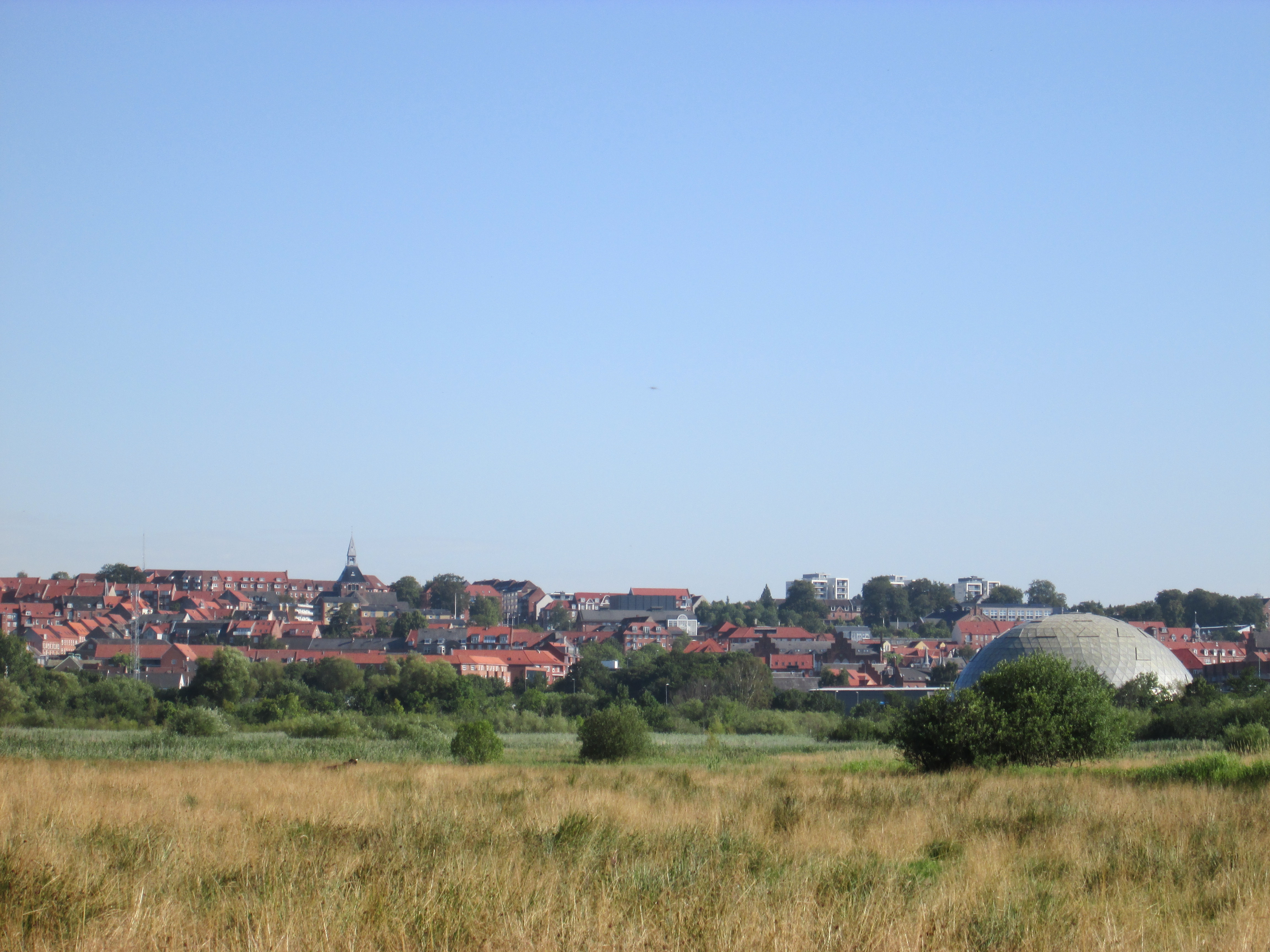 Oplev Vorup Enge med Aage V. Jensen Naturfond