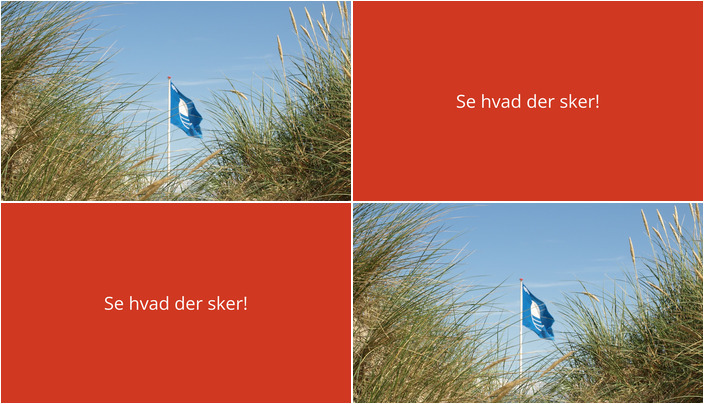 Oplev havets forunderlige verden ved Fjellerup og Bønnerup strand