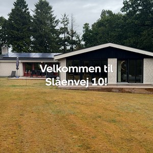 Opslagsbillede