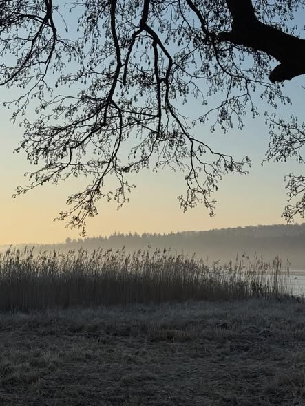 Ny Hattenæs ønsker god weekend og inviterer til en smuk morgenoplevelse