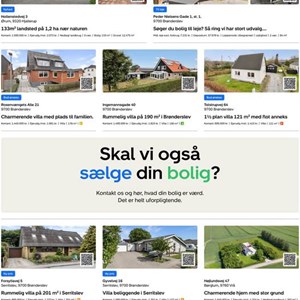 Opslagsbillede