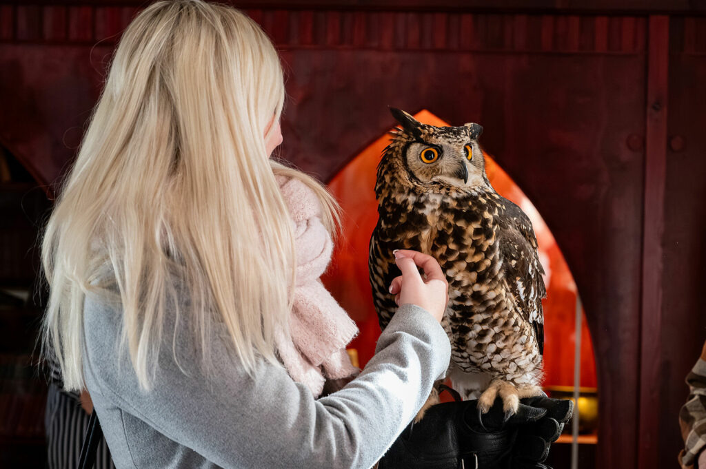 Besøg Museum Obscurum og oplev Jettes fascinerende ugler