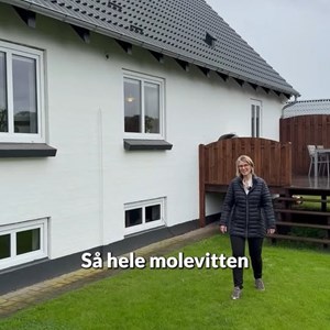 Opslagsbillede