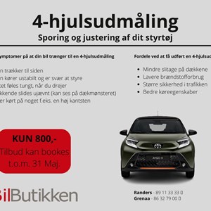 Opslagsbillede