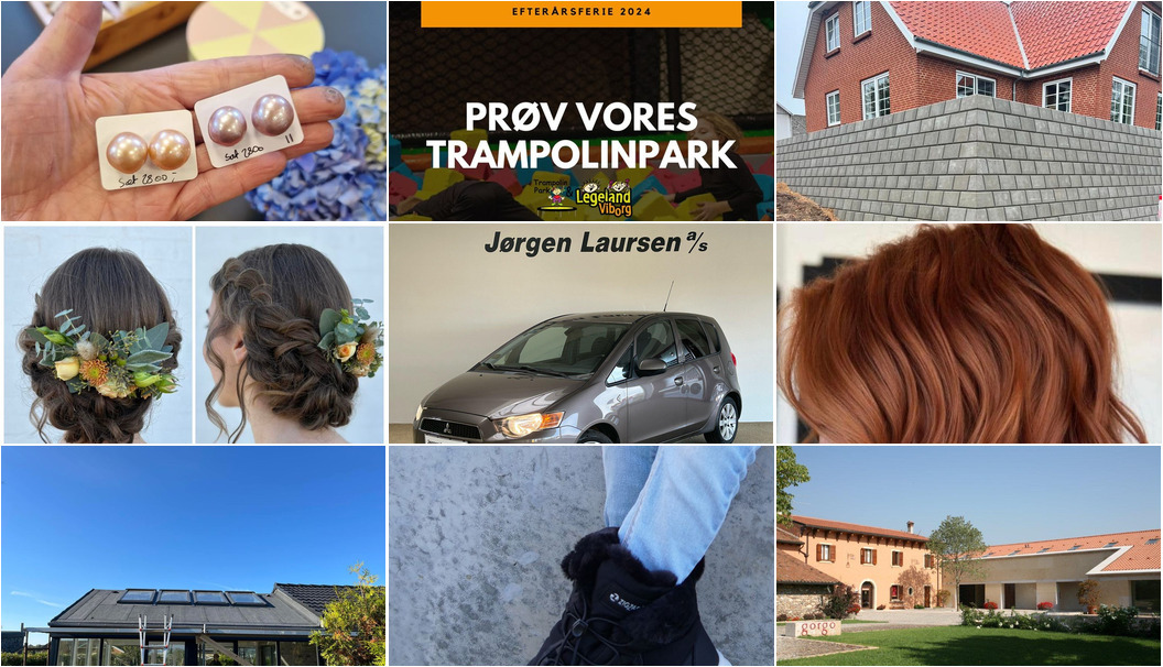 Nyt fra Møldrup Tagdækning ApS, Lahvino Wine & Spirits, Center Dyreklinik og 8 andre