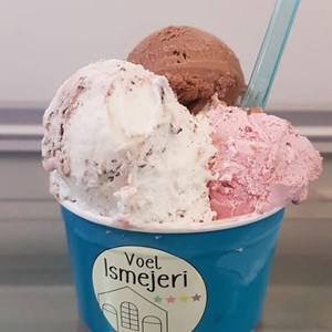 opslagsbillede