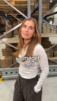 Opslagsbillede