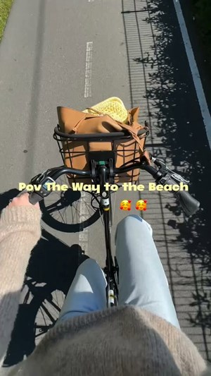 opslagsbillede