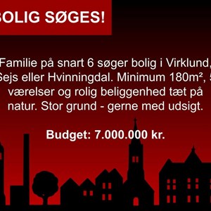 Opslagsbillede